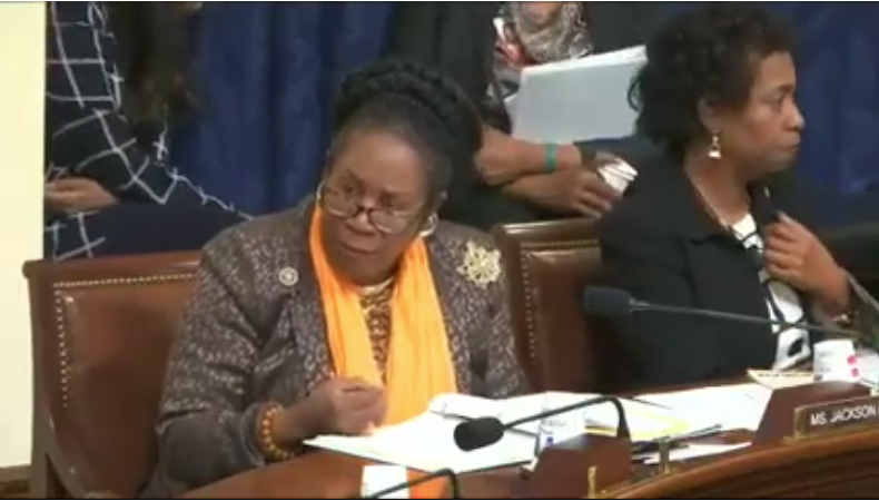 Max answering Congresswoman Sheila Jackson Lee’s question